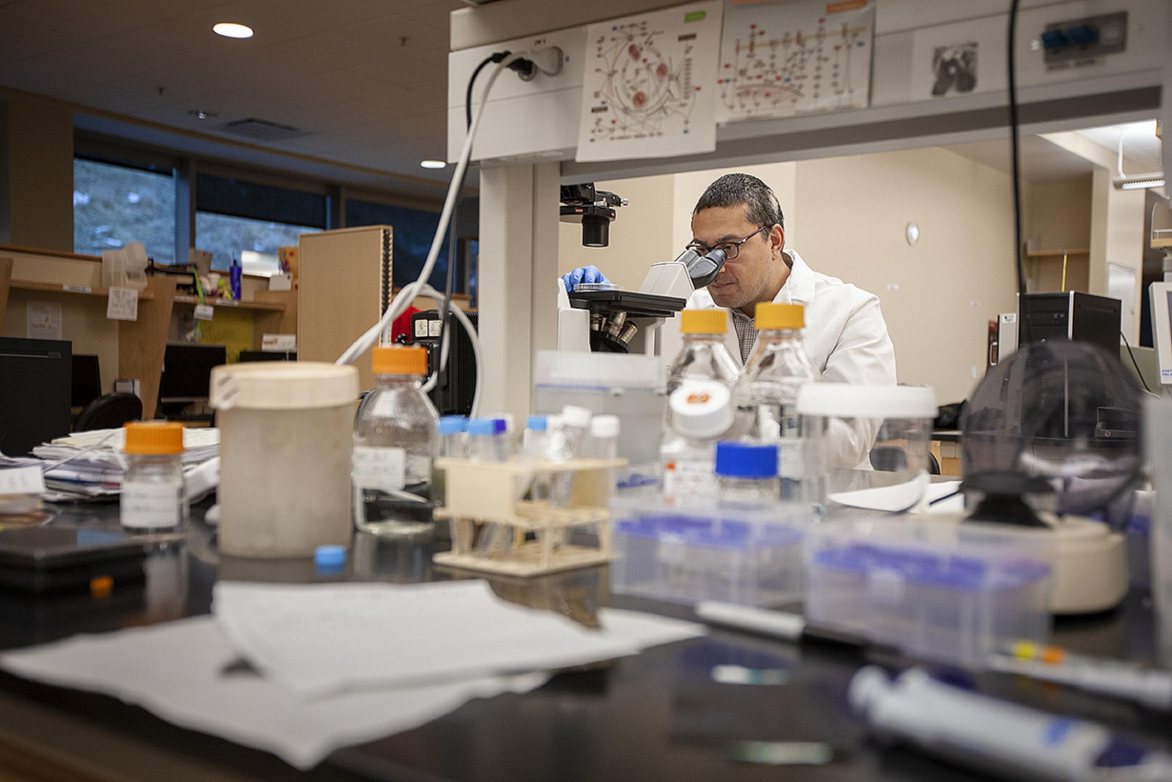 Samuel Cheshier, MD, PhD using microscope