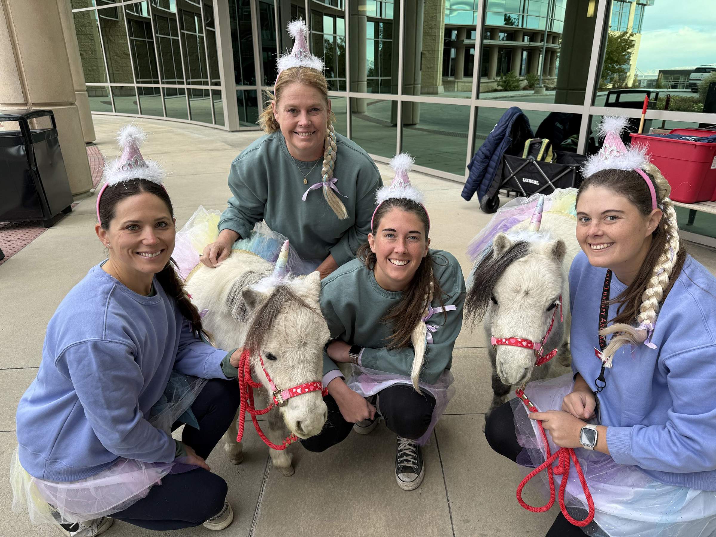 Mini horses wearing headbands with unicorn horns on them