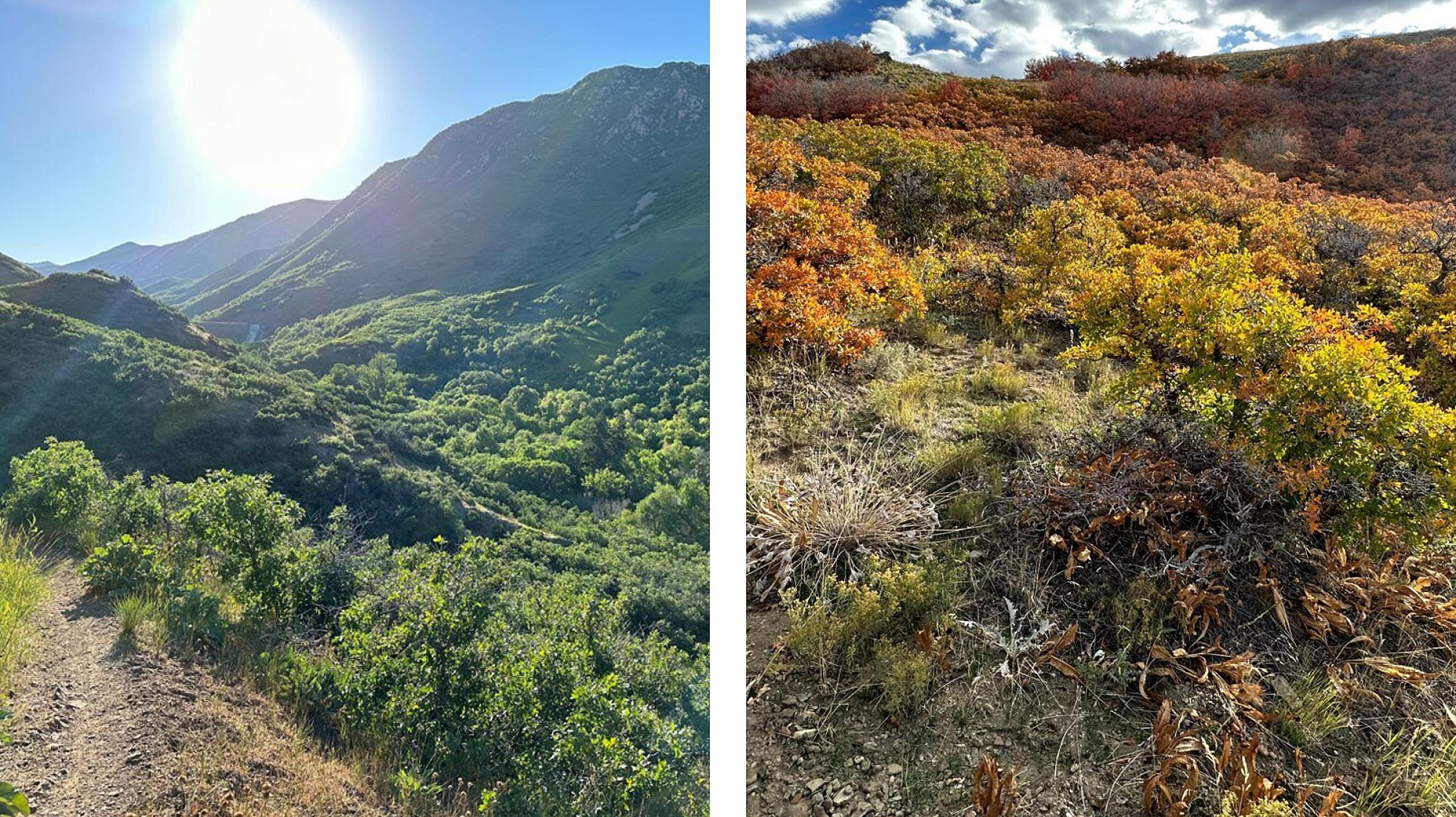 Mountainside in summer and fall