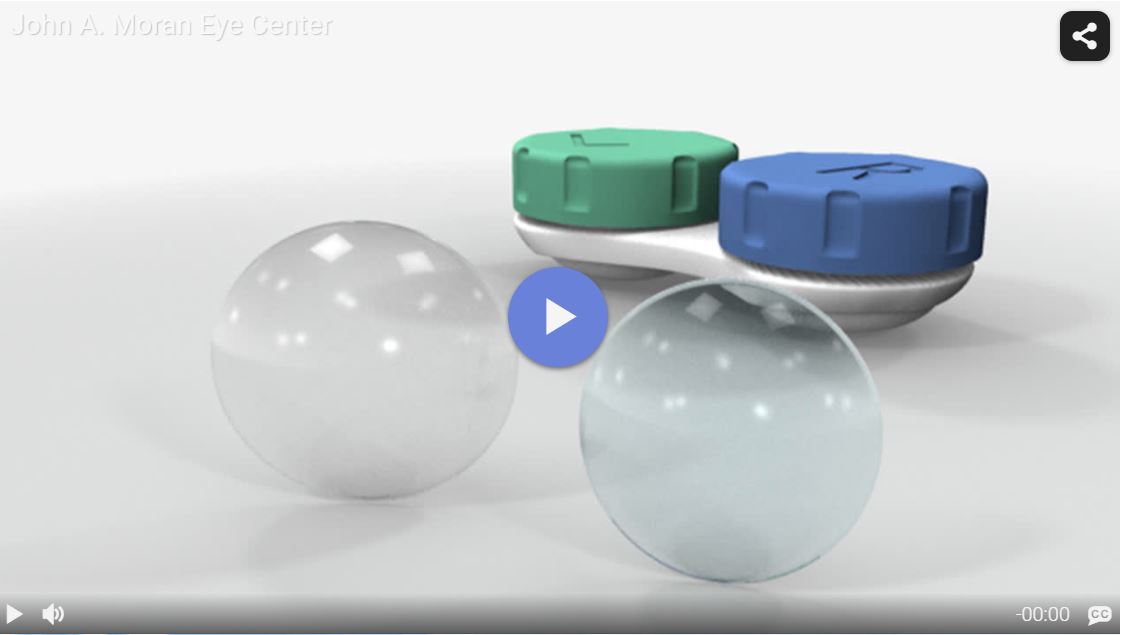 Contacts: Overview Redia Video