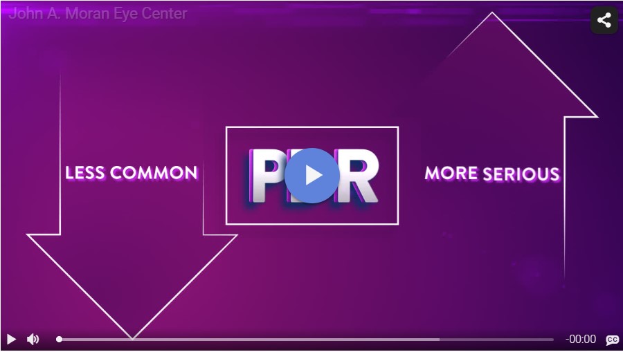 PDR Rendia Video
