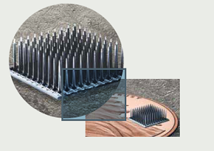 The Utah Electrode Array (UEA), much smaller than a penny, includes a tiny device implanted into the brain.