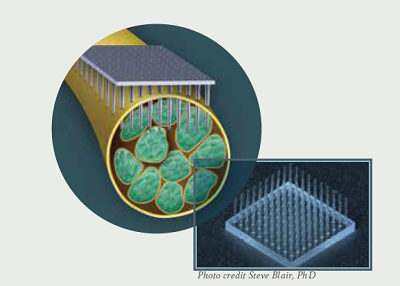 The Utah Optrode Array (UOA).