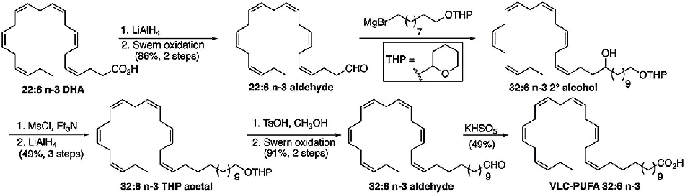 Chemical synthesis of a retina-specific VLC-PUFA (32:6 n-3) from docosahexaenoic acid (DHA).