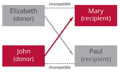 Paired Donation Diagram