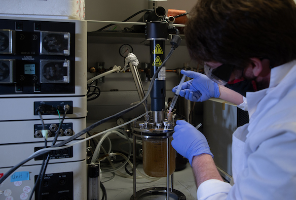 Bioreactor scientist