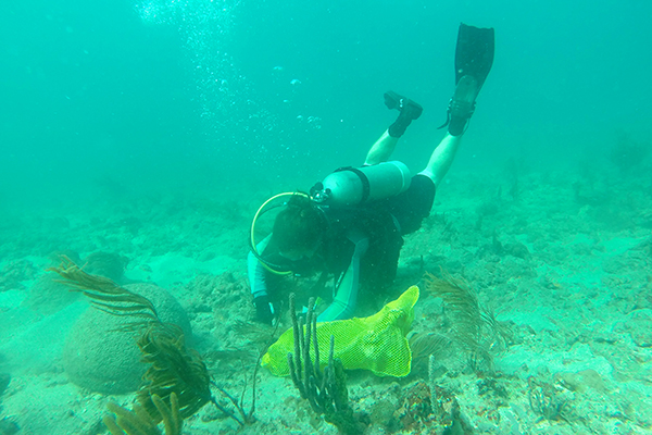 Diver under water