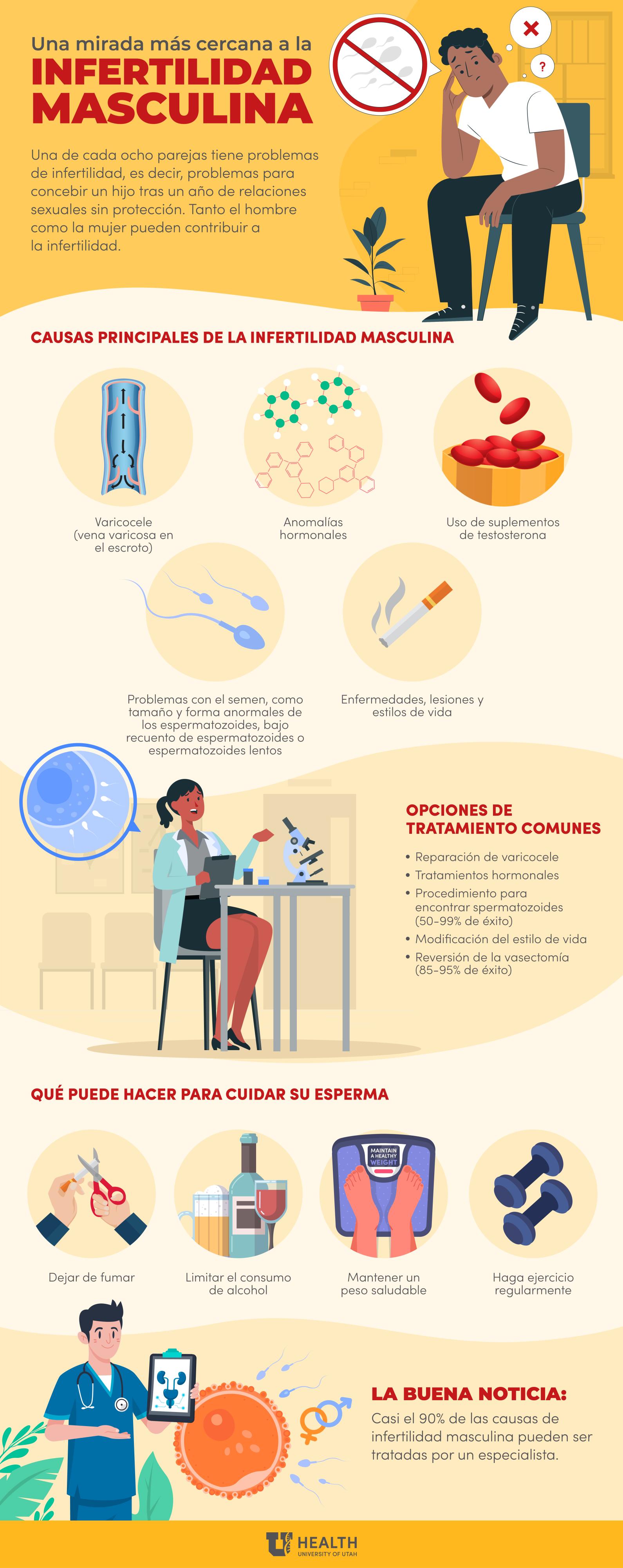 Spanish male infertility infographic