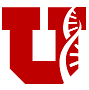 Block U of U Health Logo
