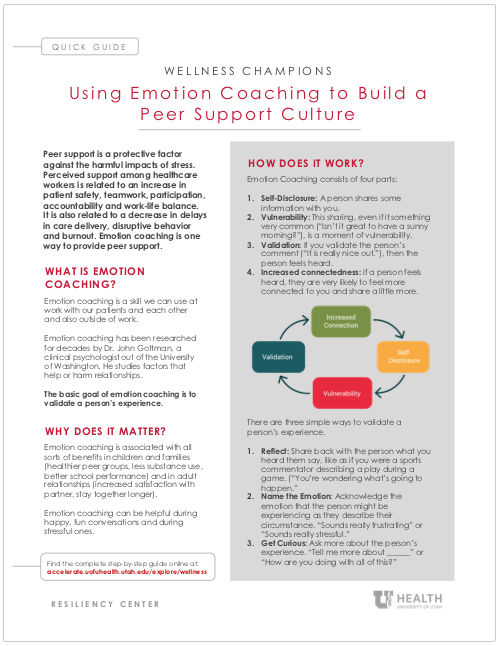 Emotion Coaching PDF