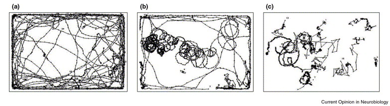 Three-panel figure of motion traces. Left: traces show lots of mostly straight-line movement. Middle: traces mostly go in tight loop-de-loops. Right: traces are short and very erratic.