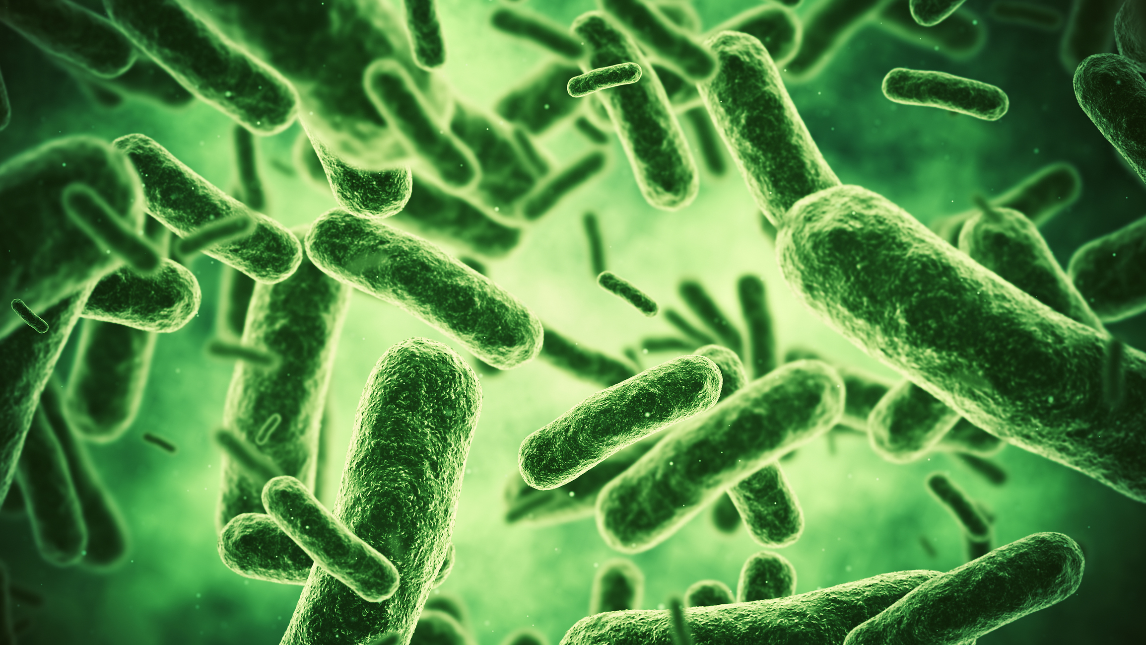 How Good Bacteria Keeps You Healthy