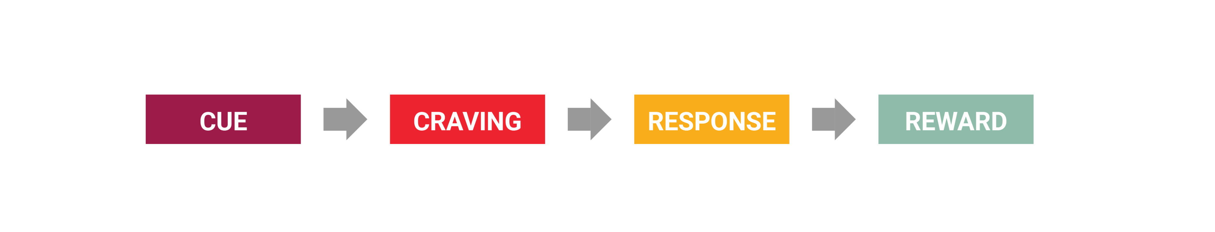 4 Stages of Habit Formation