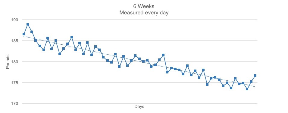 Daily weight noise
