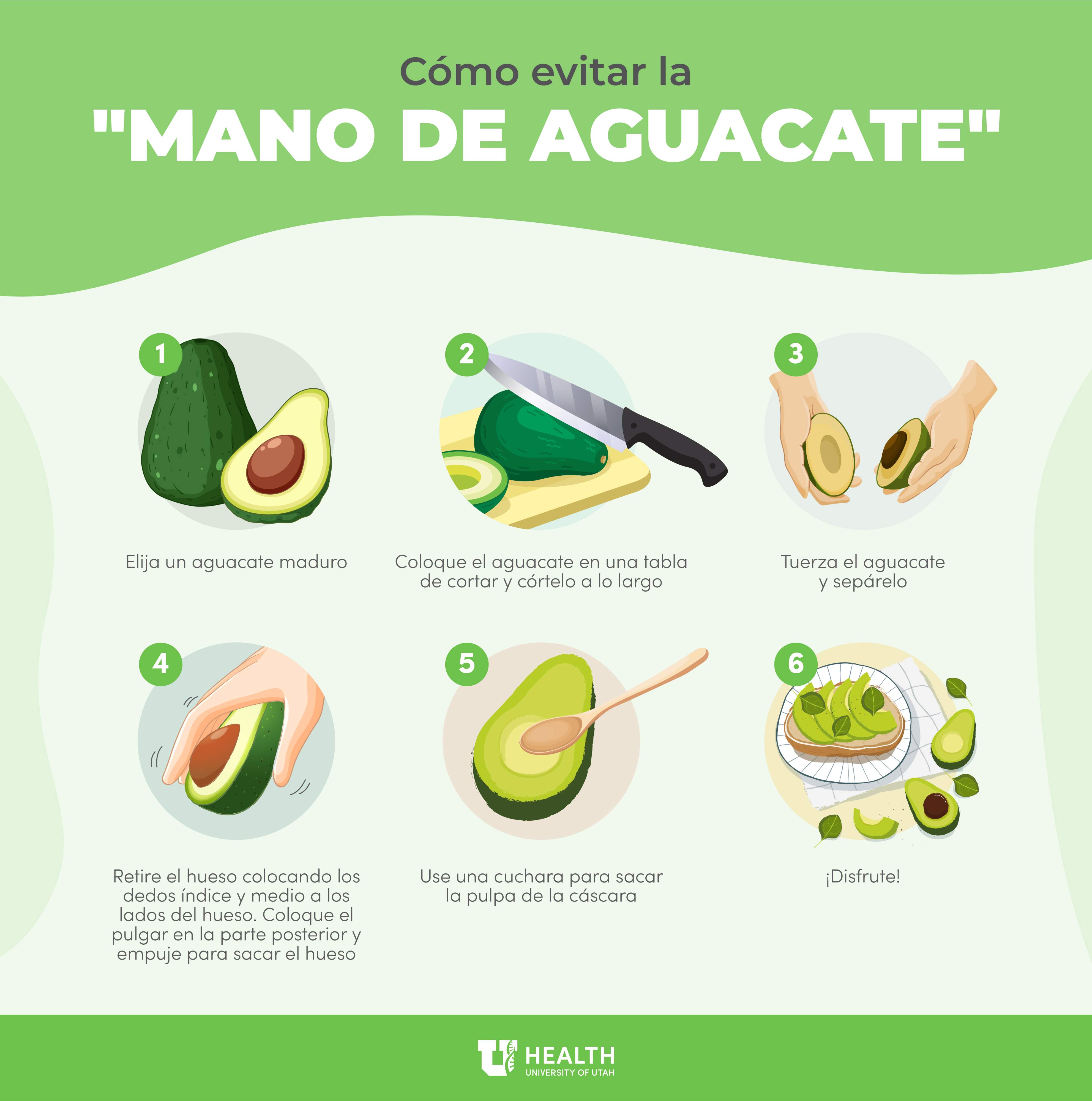 avocado hand spanish infographic