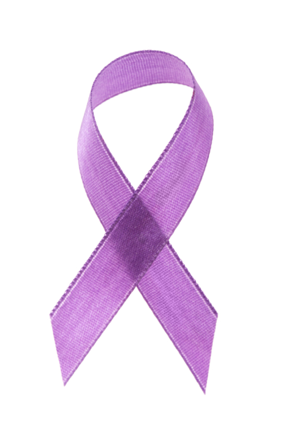 Breaking the Vicious Cycle of Domestic Violence
