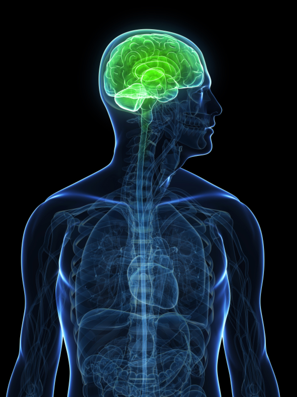 What is ALS?