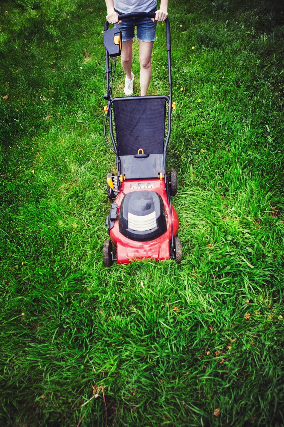 Lawn Mower Safety