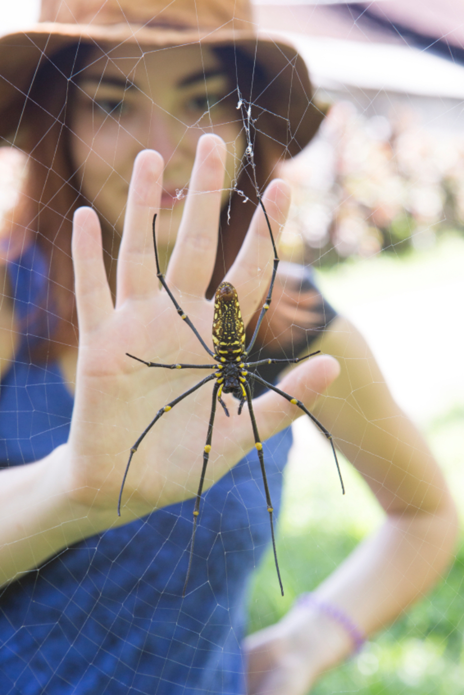 Should I Go to the Doctor for a Spider Bite?