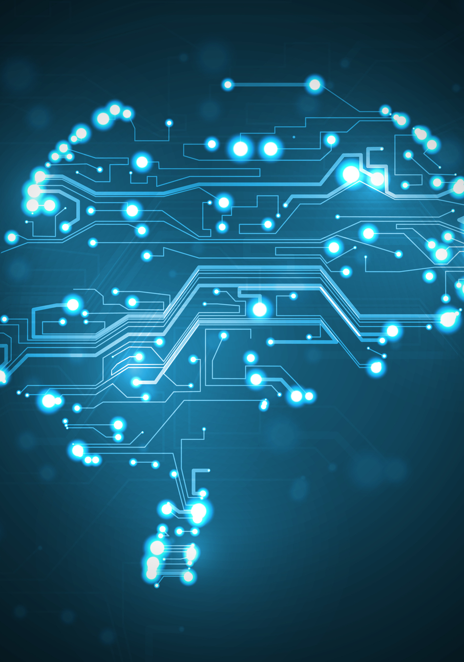 How an Autism Gene Changes the Developing Brain