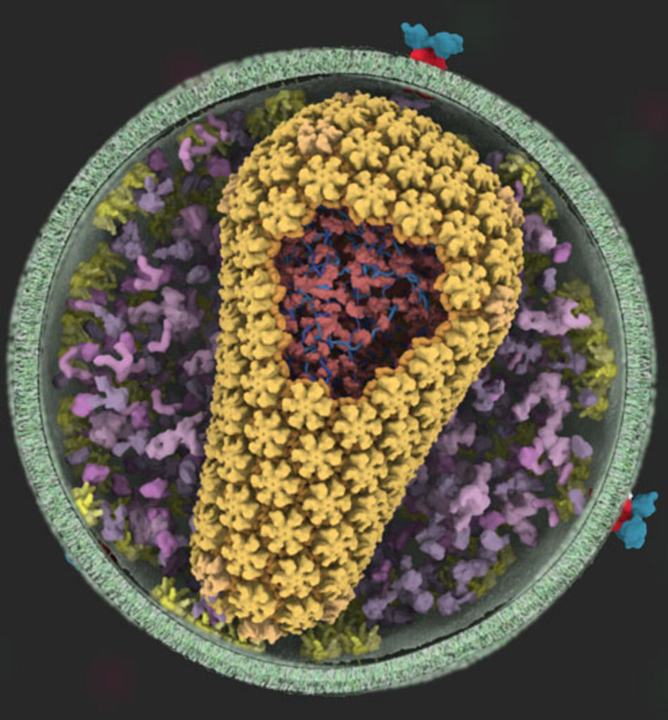 Animated Movies Bring New Insights to Science