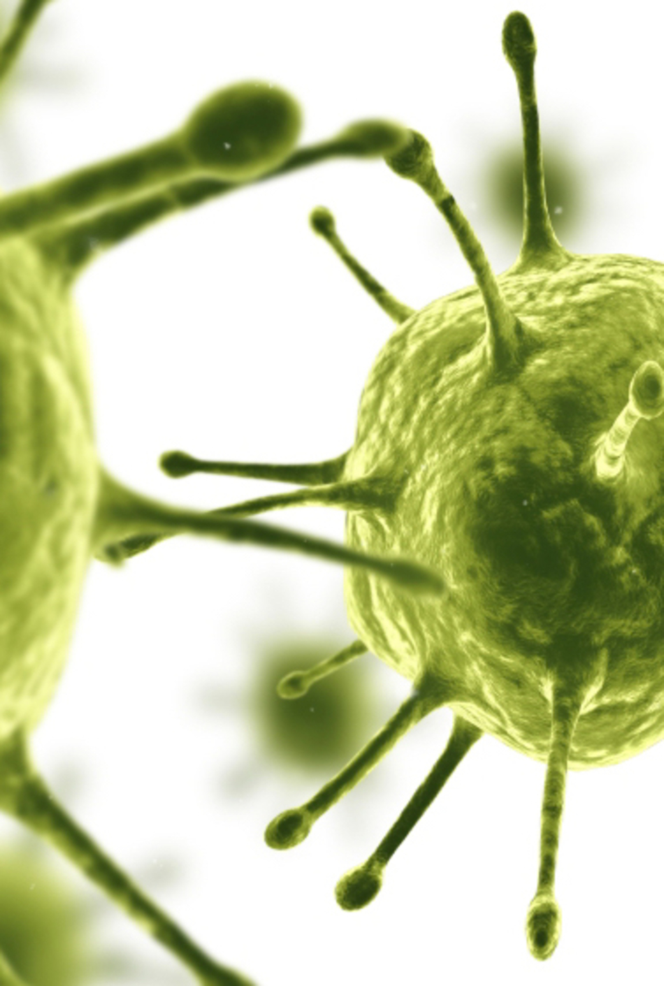 Heart Drug Could Be Basis for New Treatment Against Epstein Barr Virus, Herpes Viruses