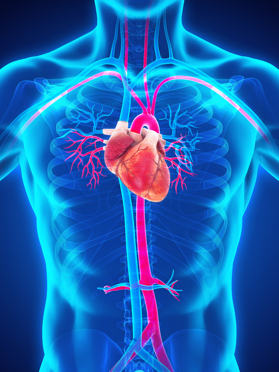 Treating an Aortic Dissection