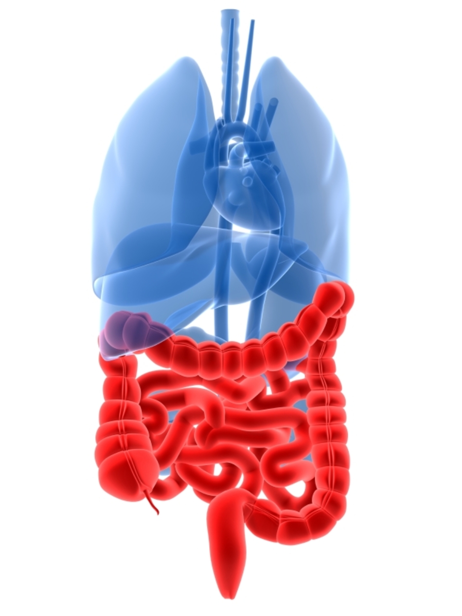 How Accurate is a Colonoscopy?