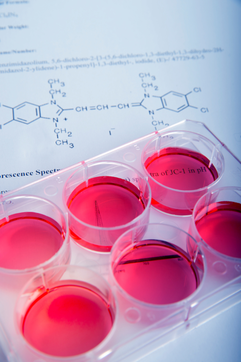 Mice With MS-Like Condition Walk After Human Stem Cell Treatment