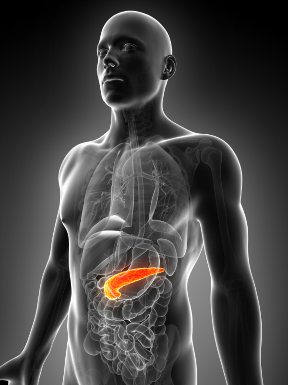 Do You Need a Whipple Procedure? All About the Surgery and Life Afterward
