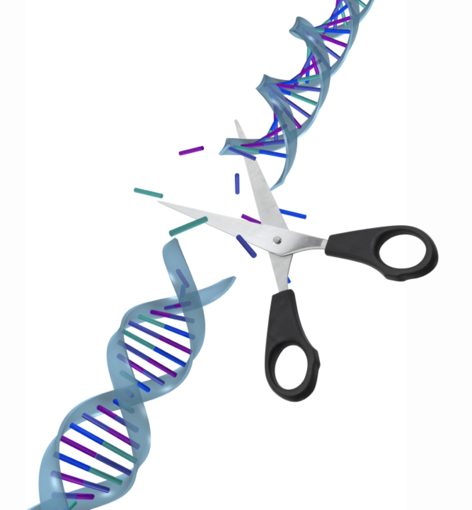 Innovation: Editing Out Disease
