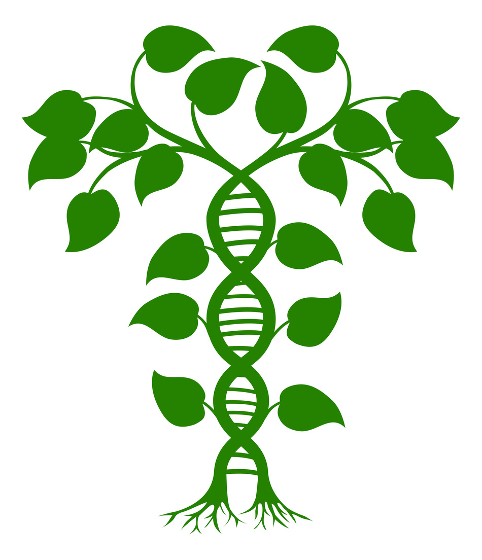 A Goldmine for Genetic and Epidemiology Discovery: UPDB