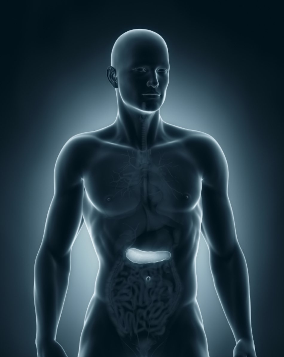 Whole Organ Transplant for Pancreatic Cancer Treatment