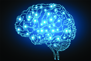 Brain Graphic Illustration