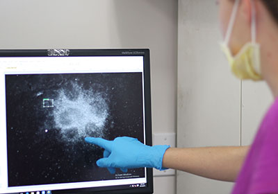 Brain-like organoids on a computer screen.