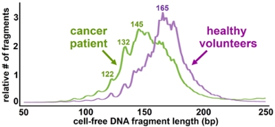 ctDNA size difference
