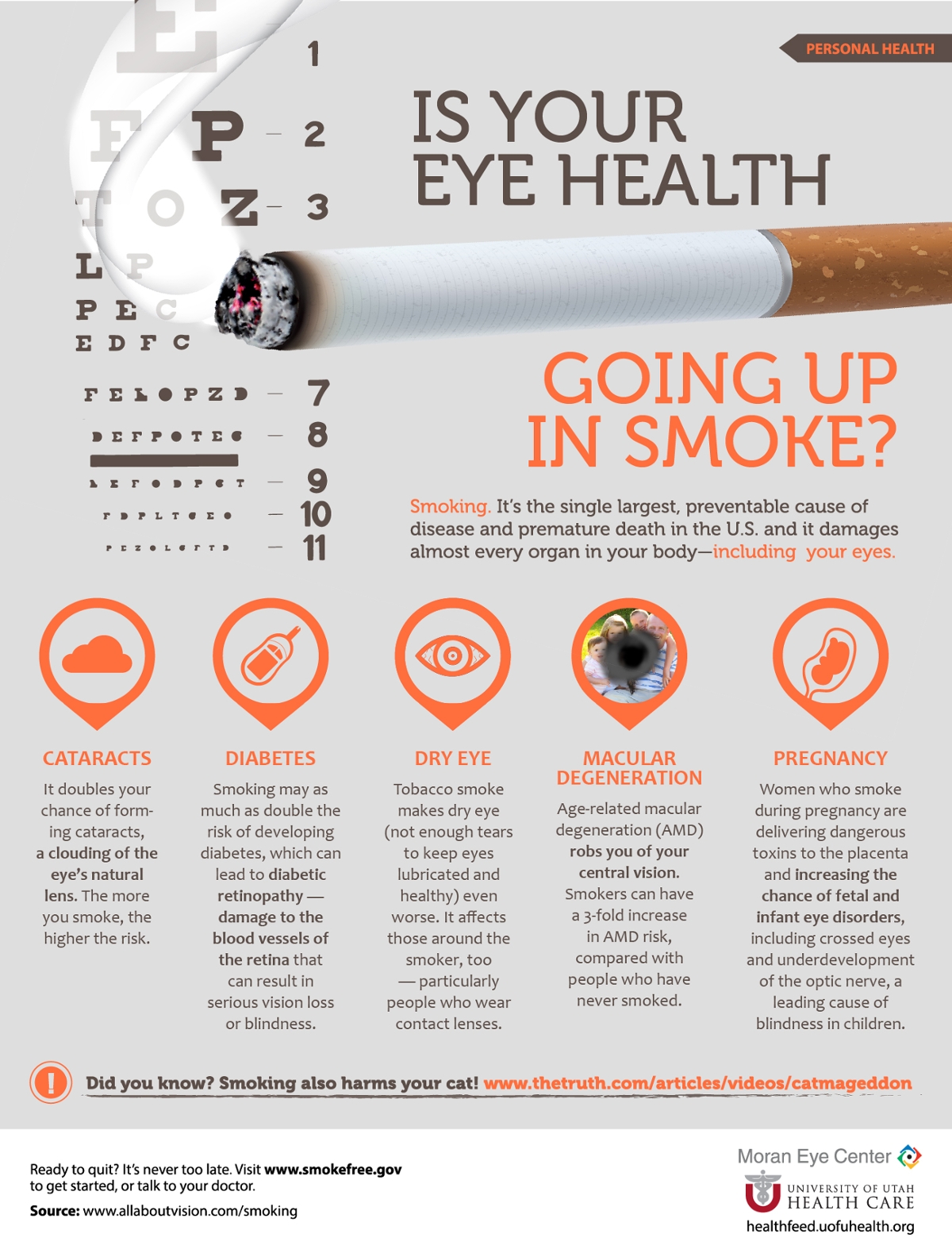 Smoking Infographic
