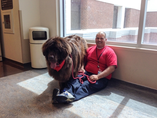 Therapy Dog
