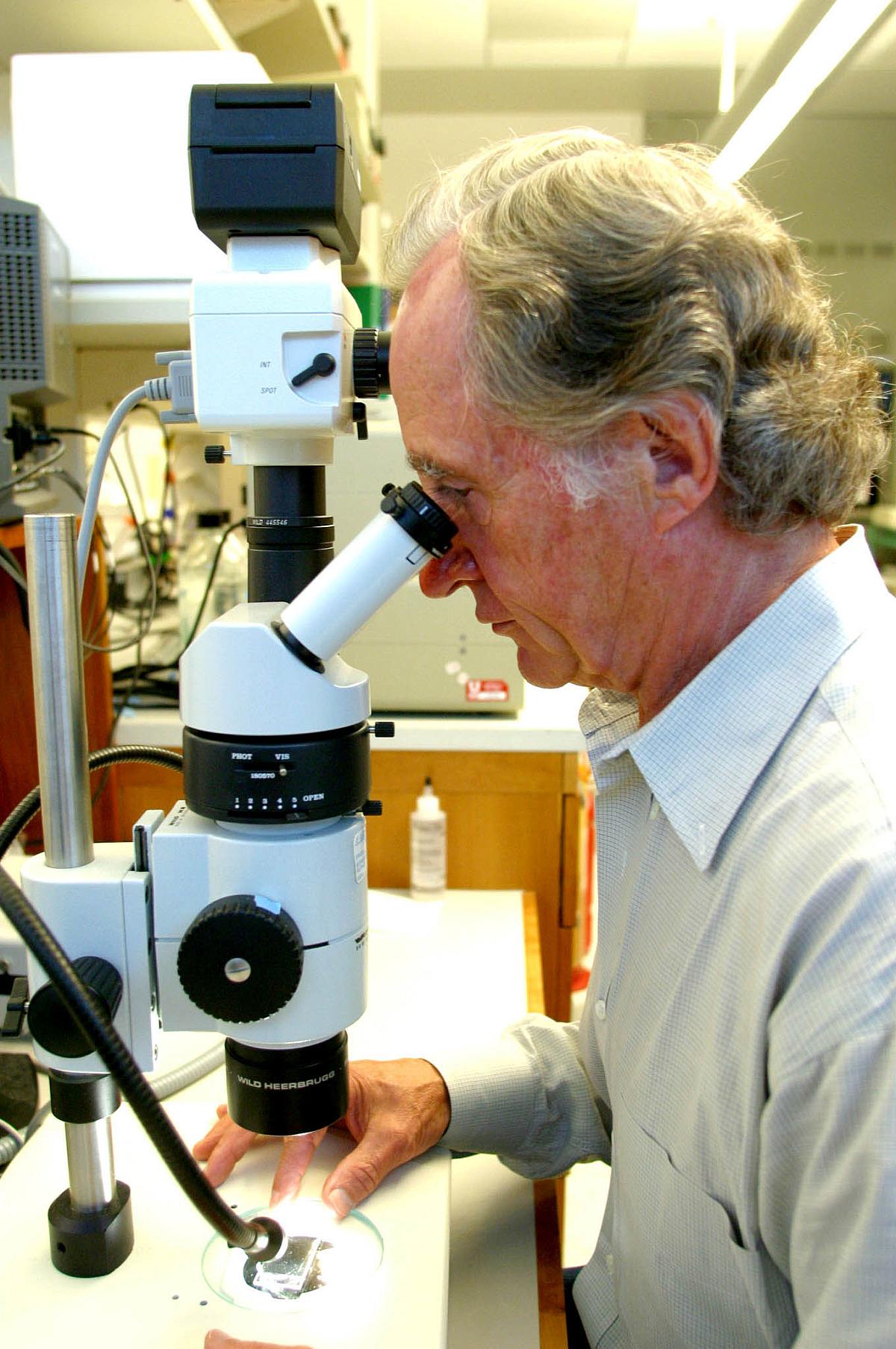 microscope
