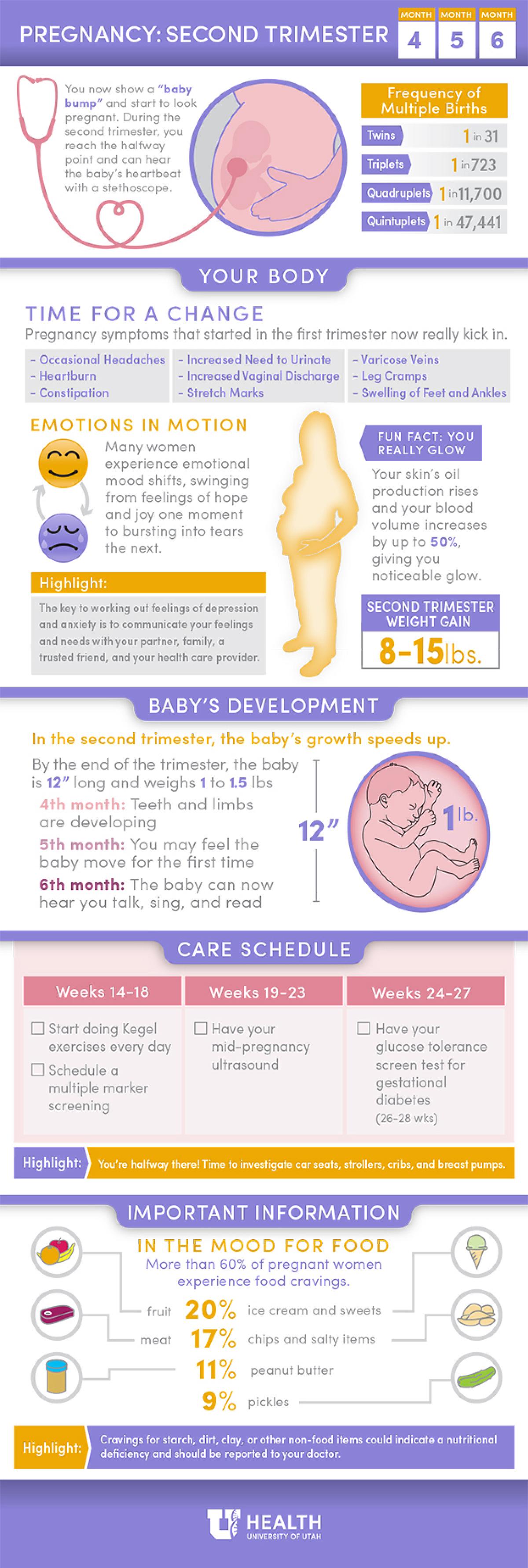 Women's Health Pregnancy 2nd Trimester Infographic 