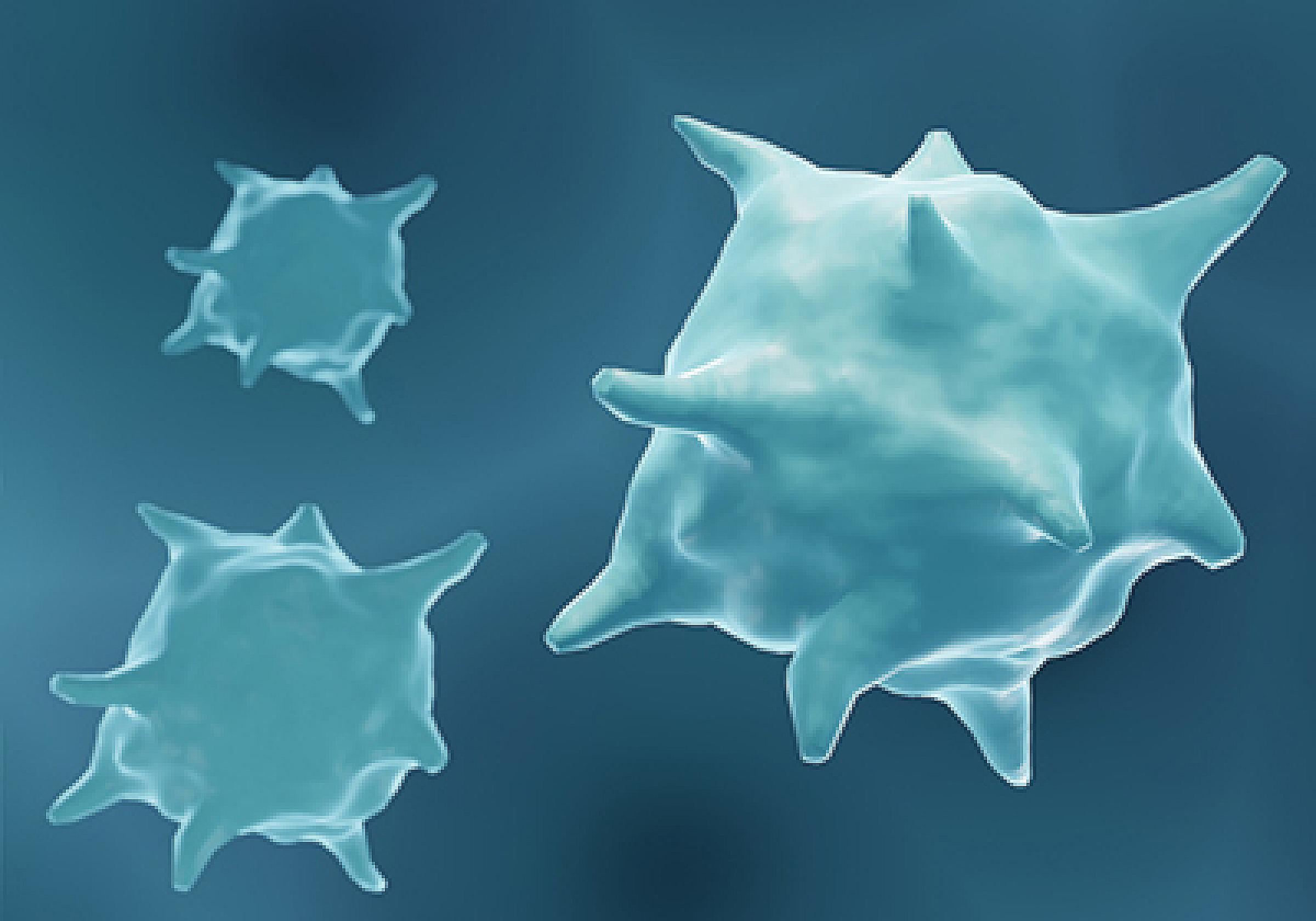 Macrophages