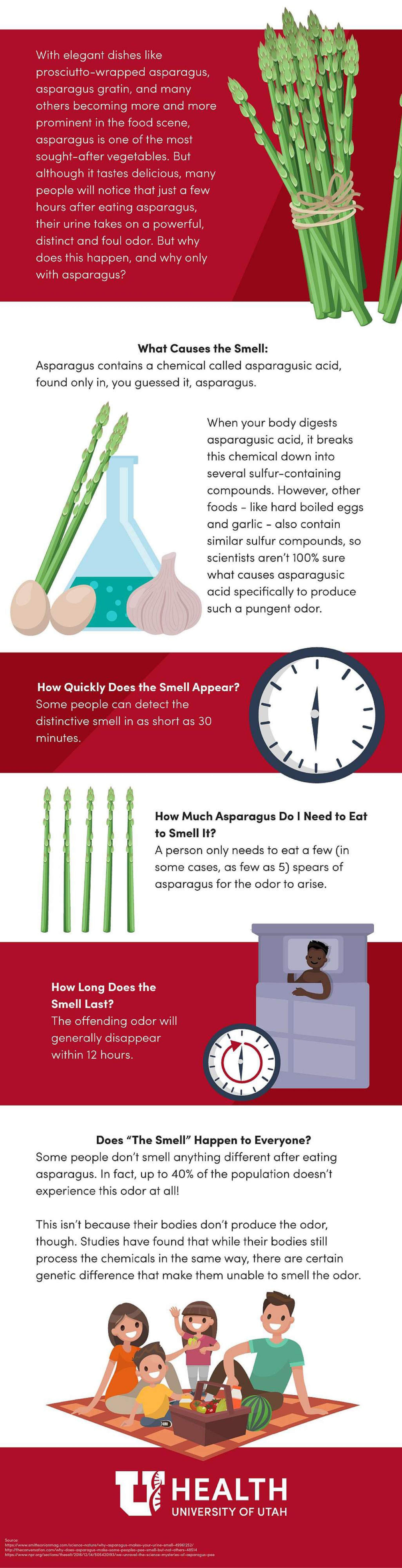 Asparagus graphic