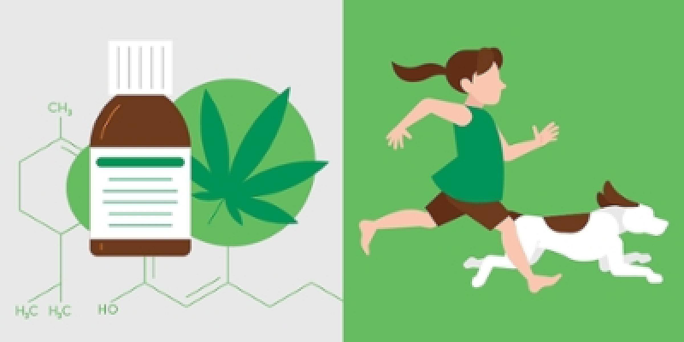 CBD Oil