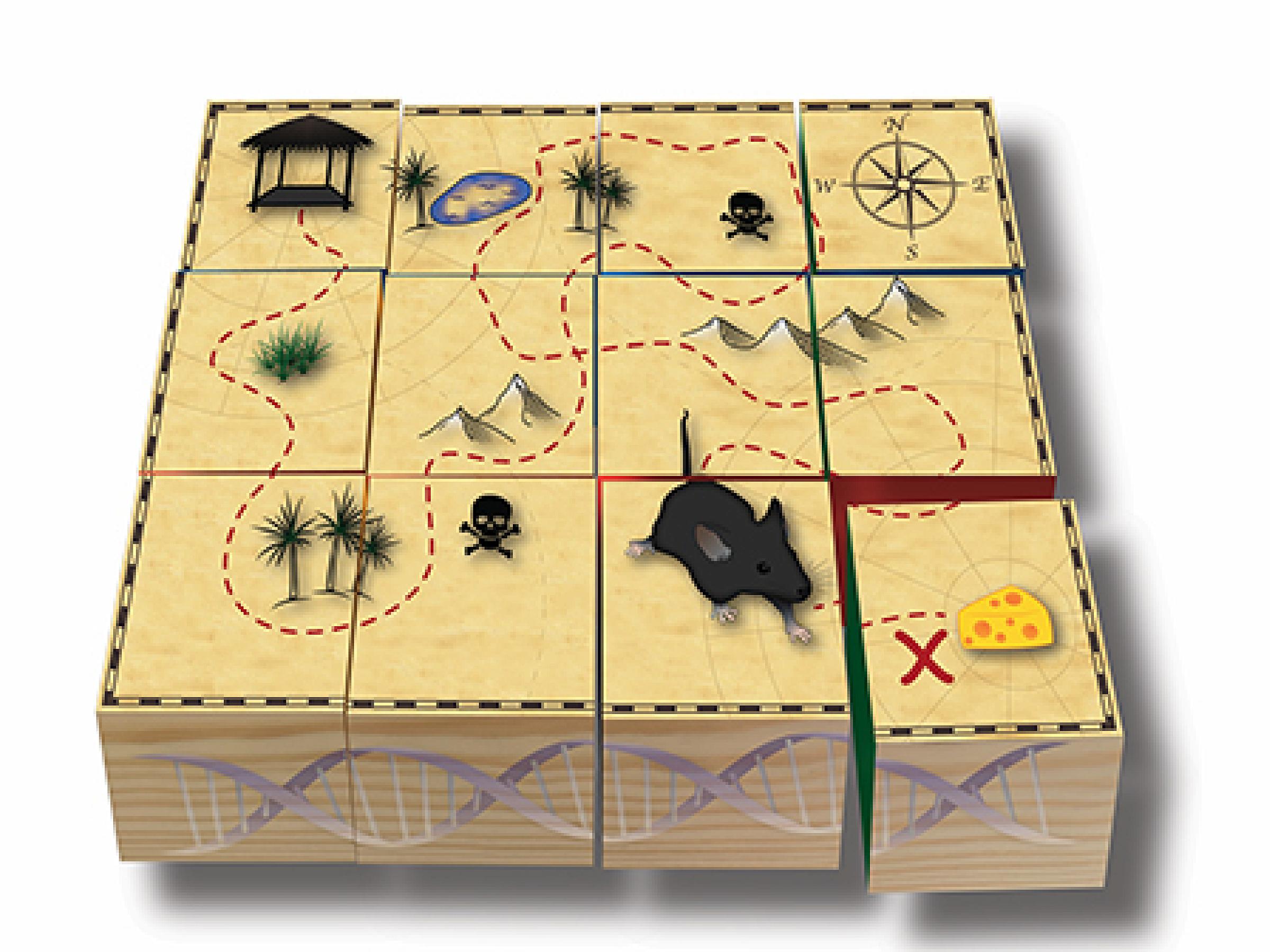 Puzzle