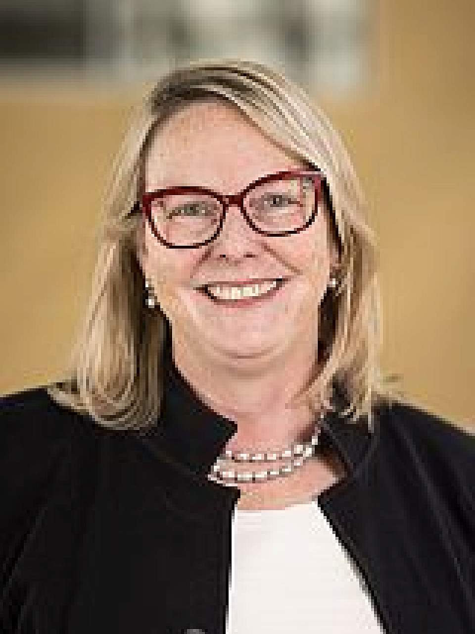 Wendy L. Hobson-Rohrer