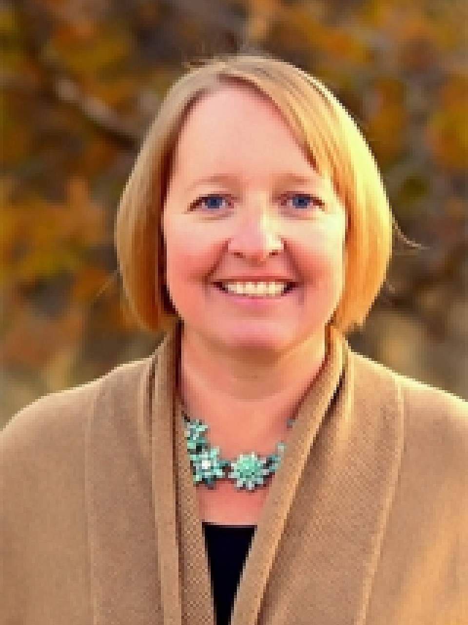 Laurie A. Coleman