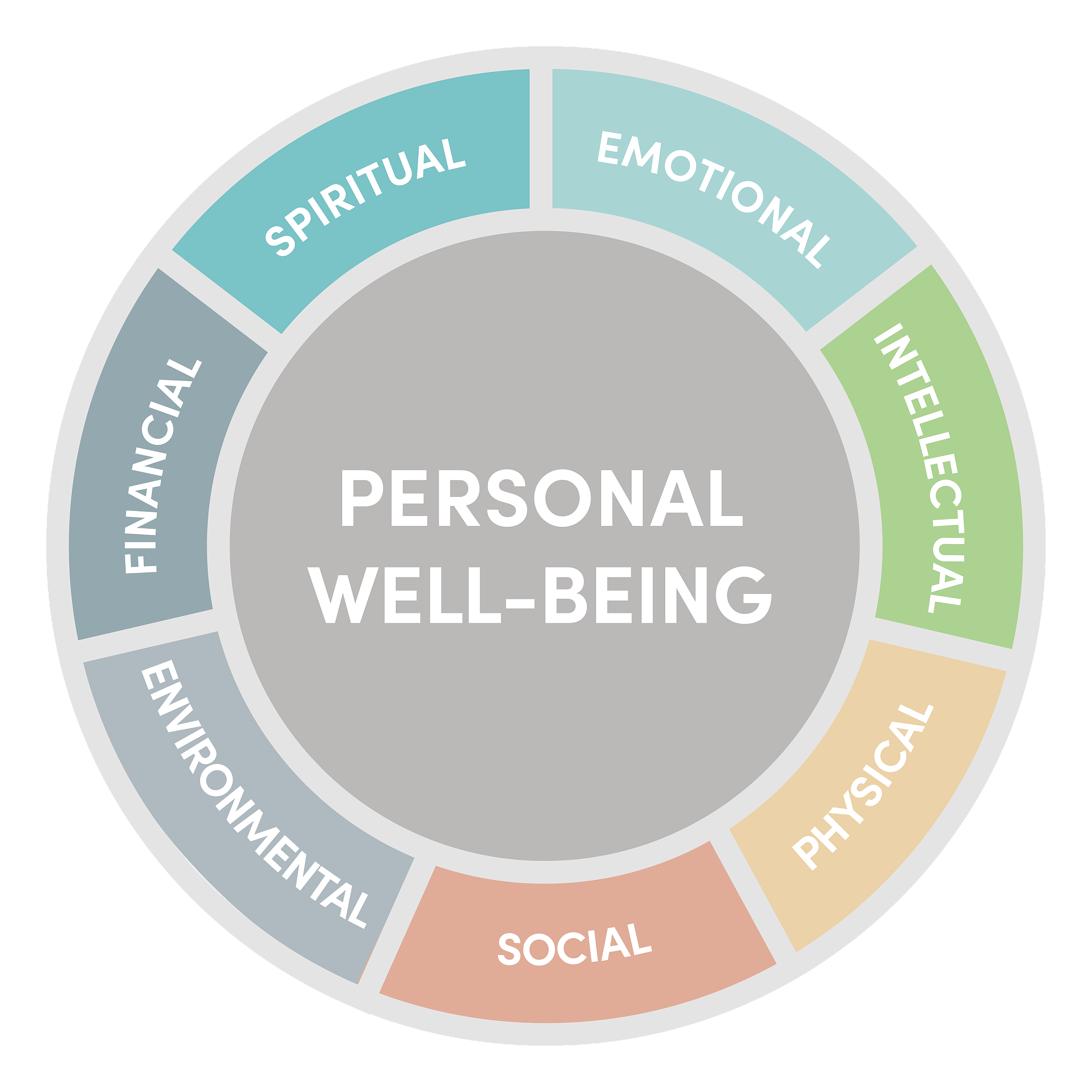 Round multi-colored chart that lists the focuses of well being