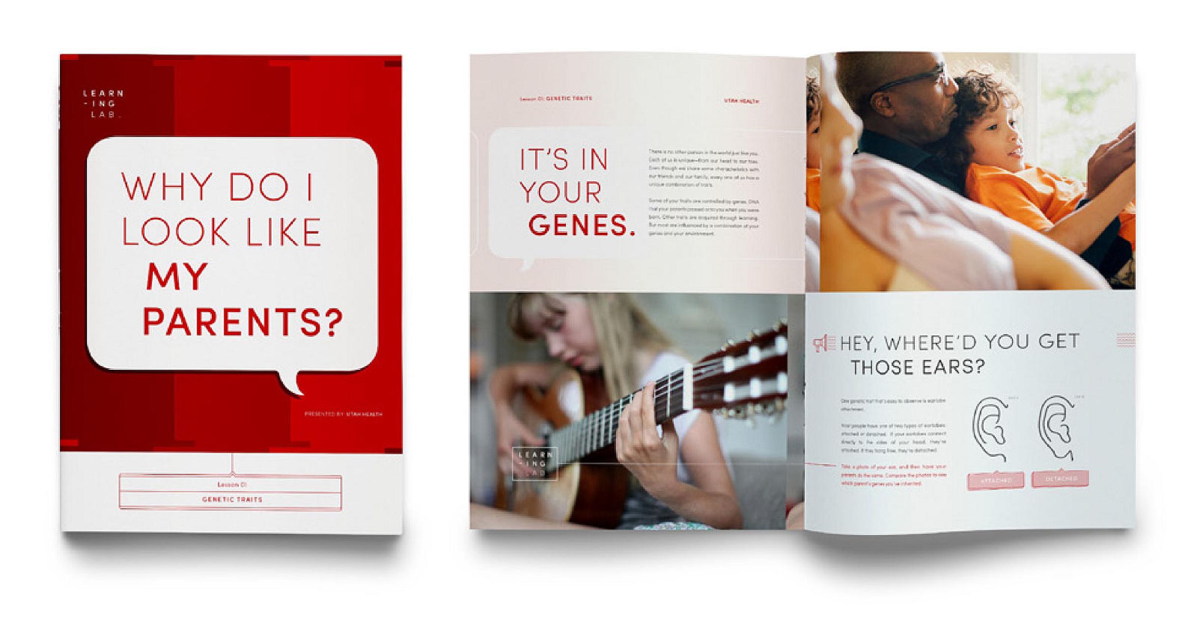 Brand & Style Guide vis-system-slices-7